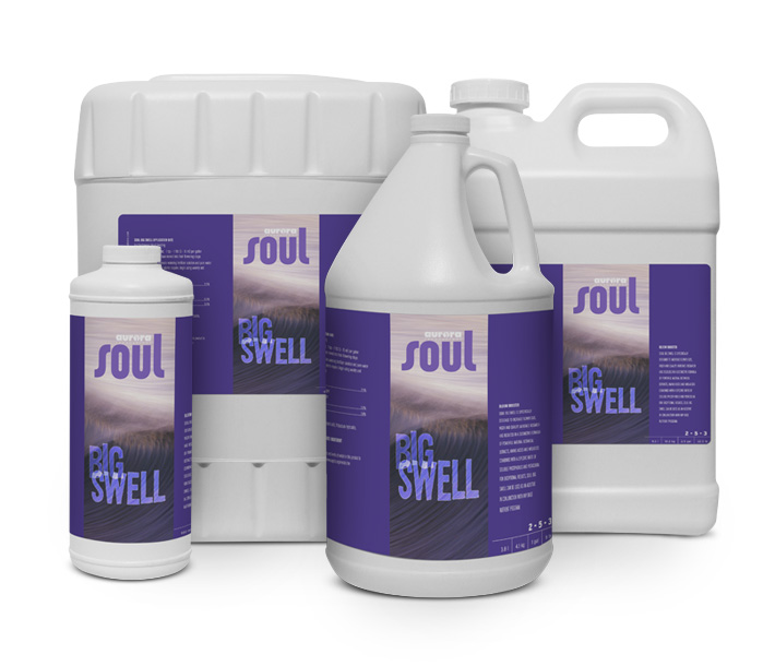 Four different sizes of Soul Sythetics Big Swell, which adds a specific ratio of phosphorus and potassium to the bloom cycle