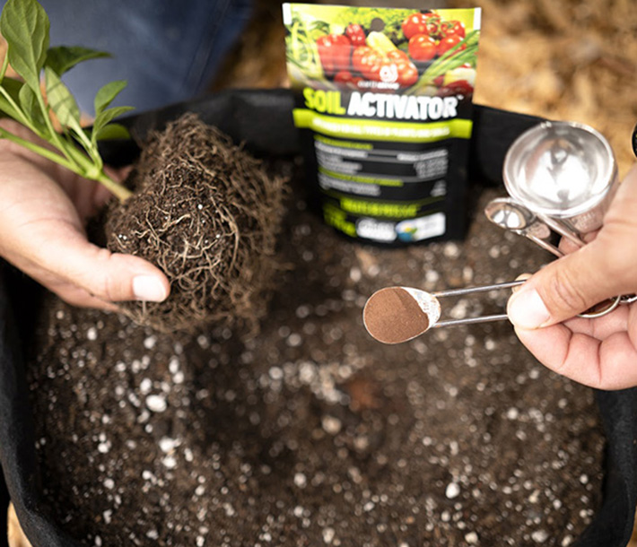 A worker adds Earth Alive Soil Activator to soil in a GeoPot Fabric Pot during a transplant