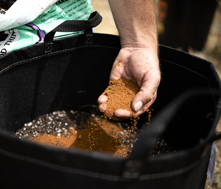 A gardener adds ECOMAX Neem Kernal Fertilizer to soil inside a GeoPot Fabric Pot