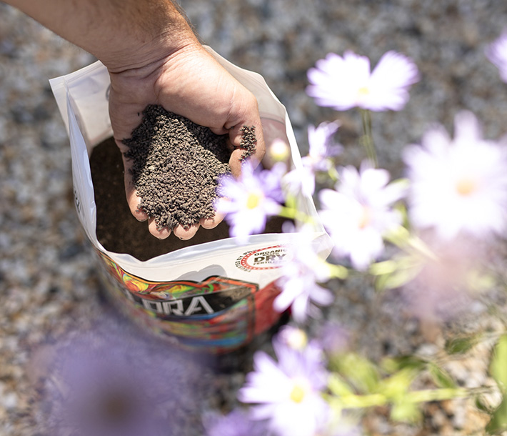 Geoflora BLOOM is granular and combines phosphorus and potassium with its organic blend