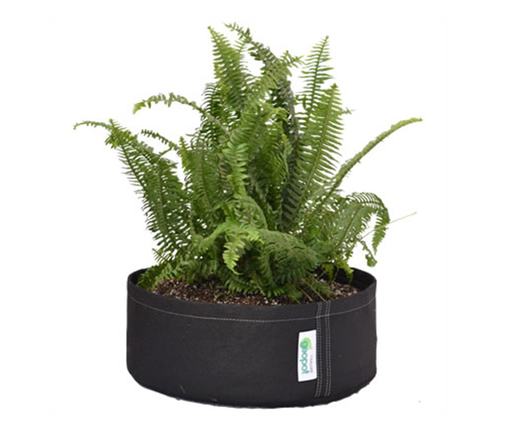 The new GeoPot Squat Fabric Pot is perfect for growing cuttings or shallow-rooting plants