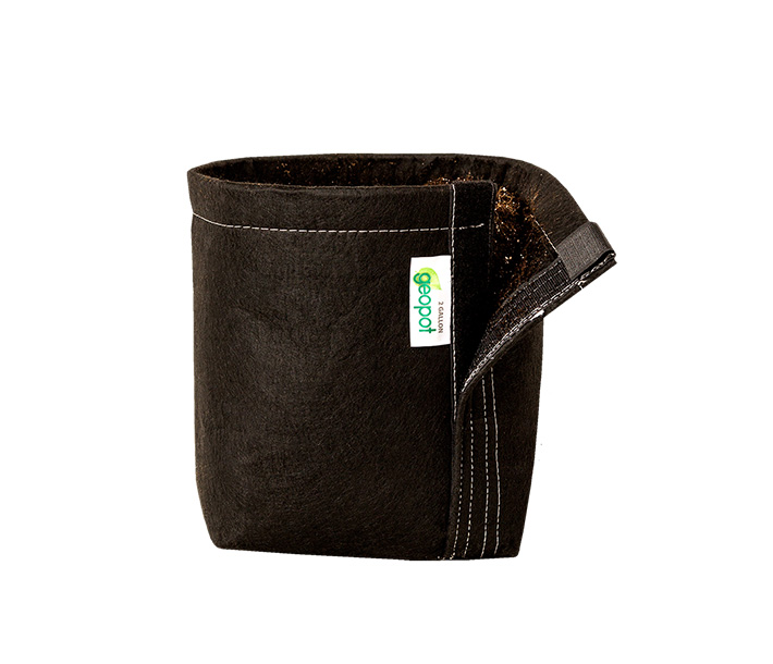 A black GeoPot Fabric Pot with Velcro Seam that makes root ball removal simple