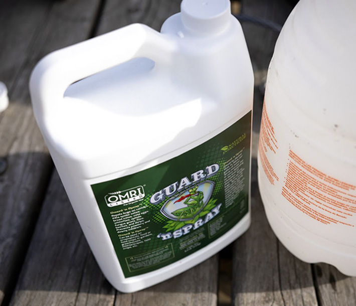 Guard n’ Spray’s organic formula can be used in sprayers, atomizers, or foggers