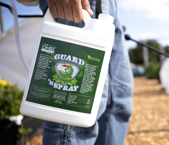 Guard n’ Spray can be used through the entire vegetative phase and early bloom stage