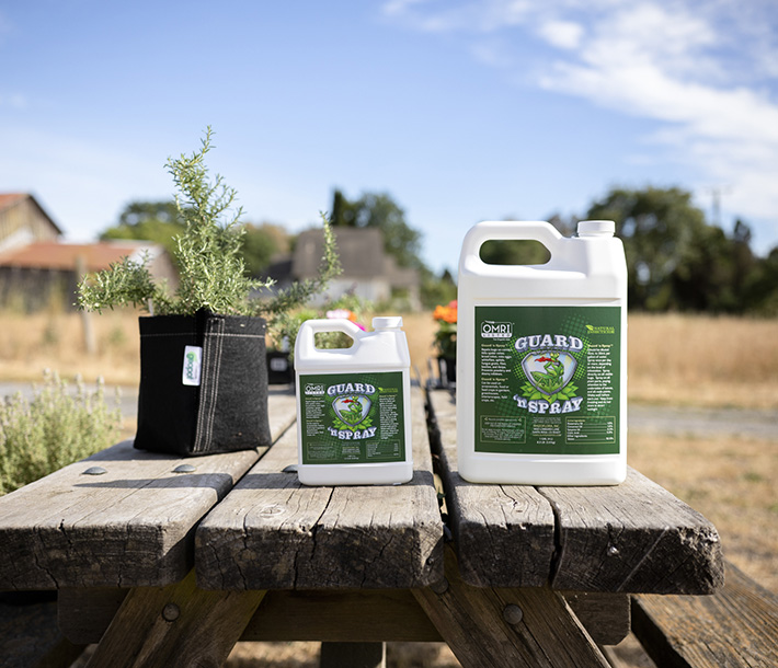 Guard 'n Spray, shown in 2 sizes next to a GeoPot Fabric Pot, is a concentrated organic insecticide
