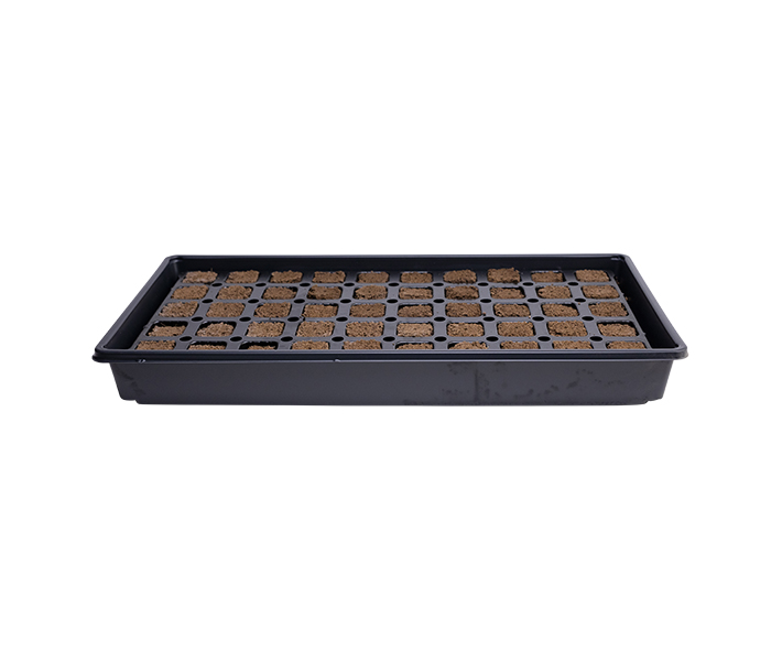 Ihort QPlug 50-count Propagation Kit, shown with plugs in the carrier tray and 2 plugs in front