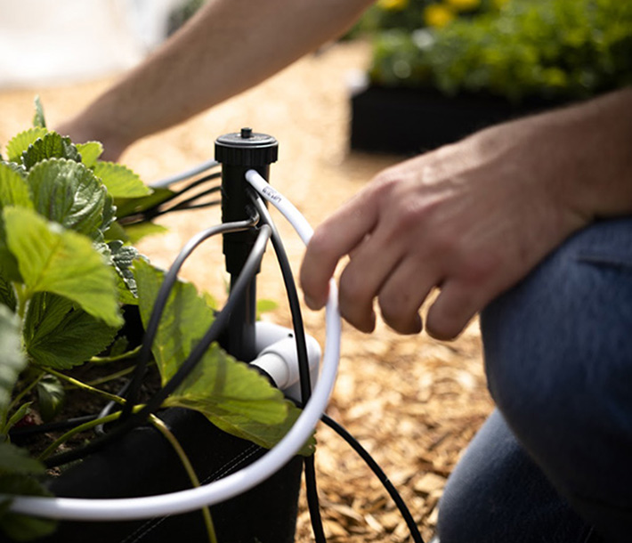 Plants flourish while a gardener easily adjusts the PVC tubing attached to the Octo-Flow manifold