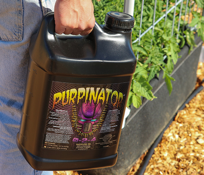 A gardener carries Purpinator the garden; Purpinator improves the coloration of plants with purple phenotypes