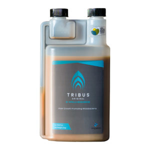 Tribus Biolstimulants, here in 1-liter size, is a revolutionary microbial from Impello Biosciences