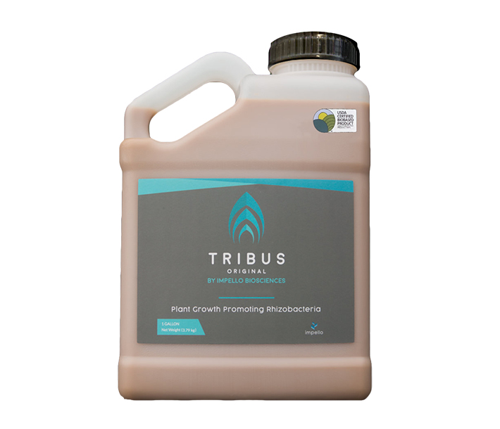 Here in gallon size, Tribus Biostimulants offers a simple solution for gardeners of any skill level