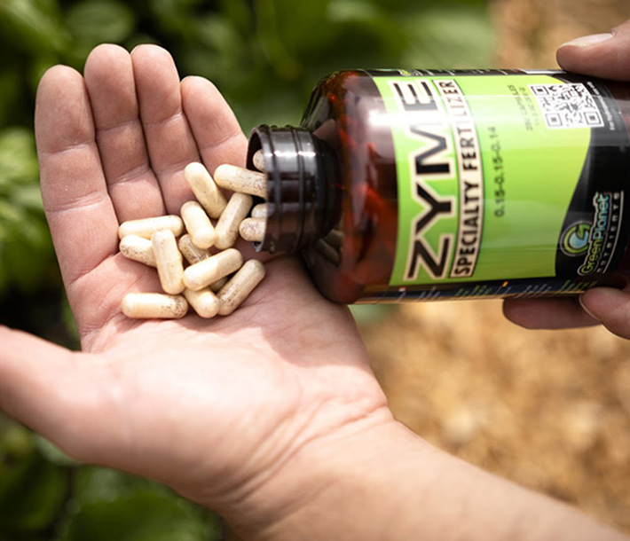 Green Planet Nutrients – Zyme Caps capsules convert dead plant matter into nutrients for your plants