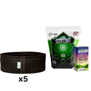 Lettuce Grow kit including GeoPot fabric pots, Geoflora VEG, and ECOWORKS EC
