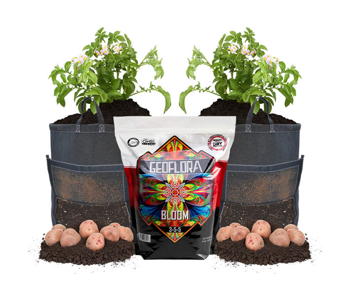 Potato Grow Kit with GeoPot potato bags and Geoflora BLOOM organic fertilizer