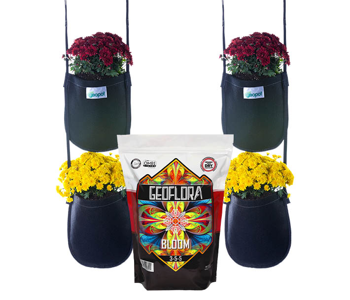 Strawberry Grow Kit including GeoPot hanging baskets and Geoflora BLOOM organic fertilizer