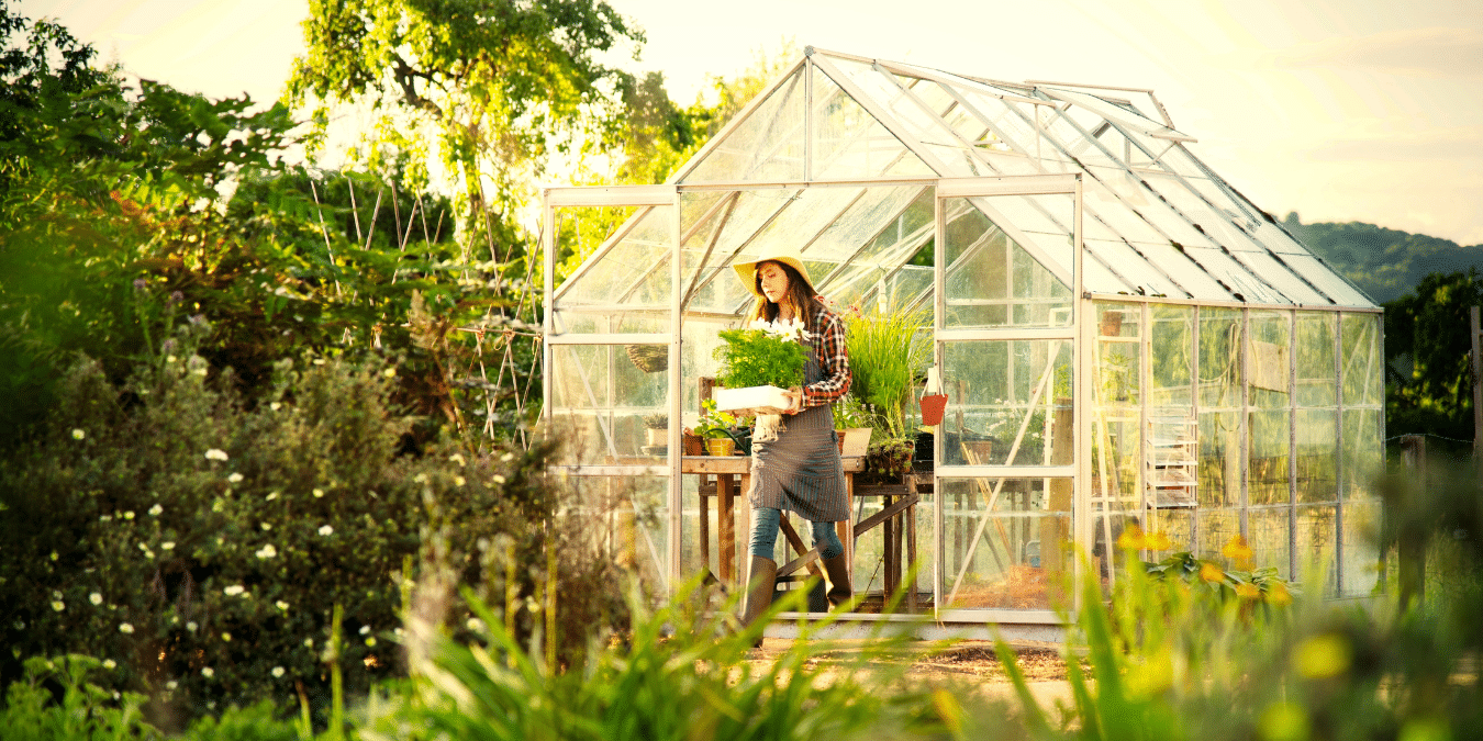 Bring Them In: Greenhouse Materials for Your Grow