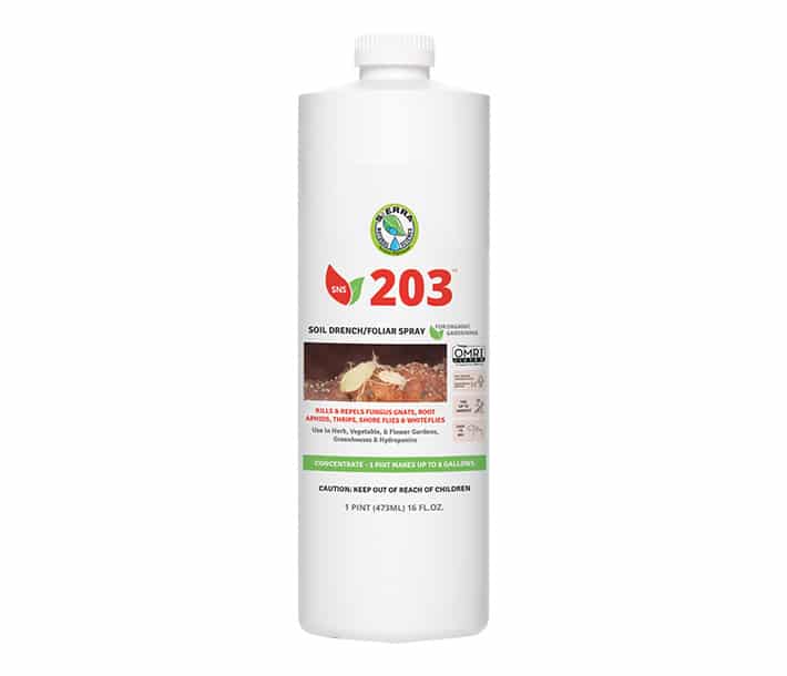 Pint bottle of SNS 203 pesticide