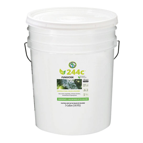 5 Gallon bucket of SNS 244c fungicide
