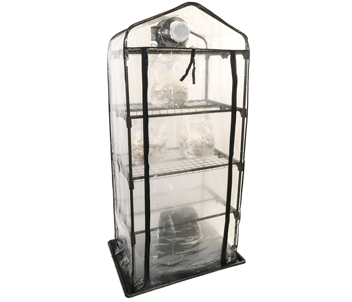 The Shroom Room has four metal shelves and a drip tray, and is perfect for growing bagged mushrooms.