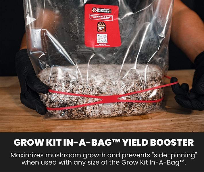 A colonized MushroomSupplies all-in-one with the MycoMultiplier attached at the base to prevent side pinning.