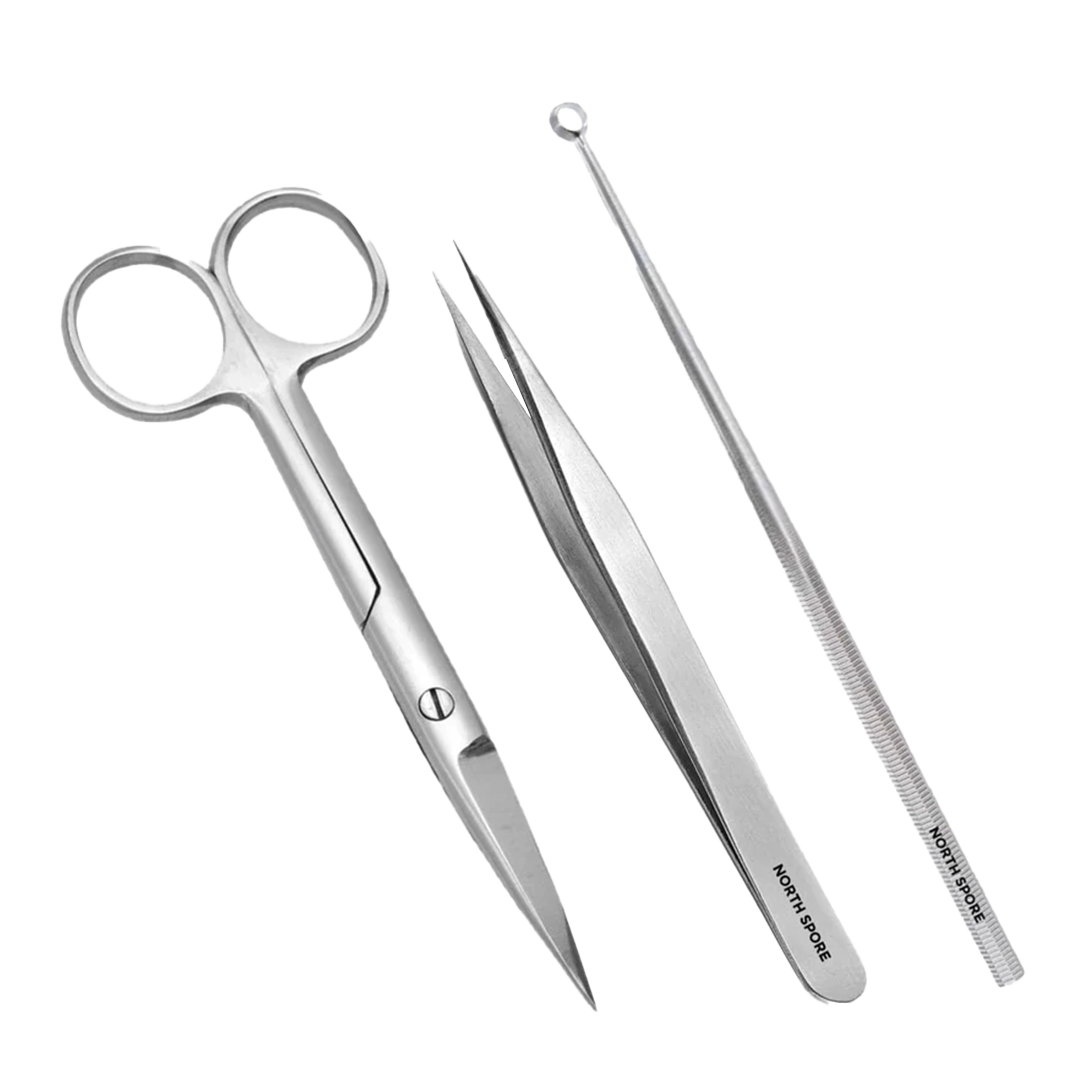 Stainless steel scissors, forceps, and inoculation loop with the label "north spore" for mycology.