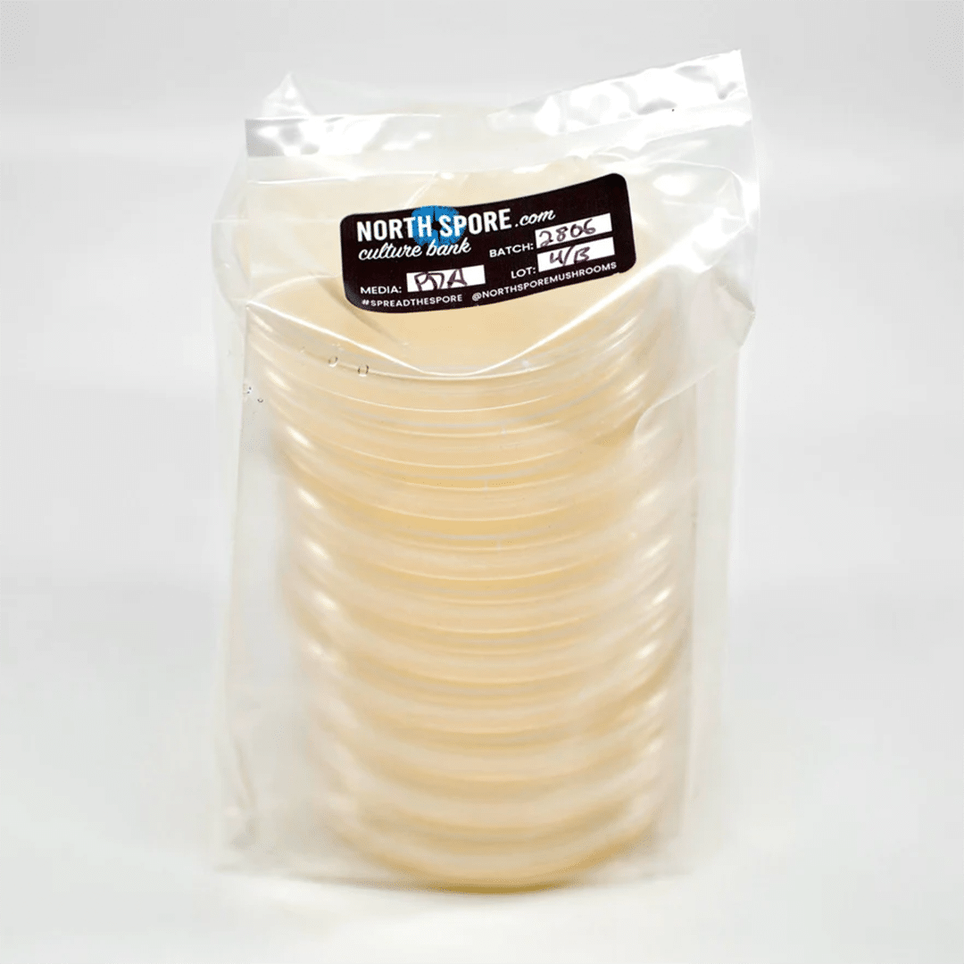 A stack of 10 round petri dishes containing a beige colored agar in a sealed plastic sleeve with a label indicating date of production from North Spore and their logo