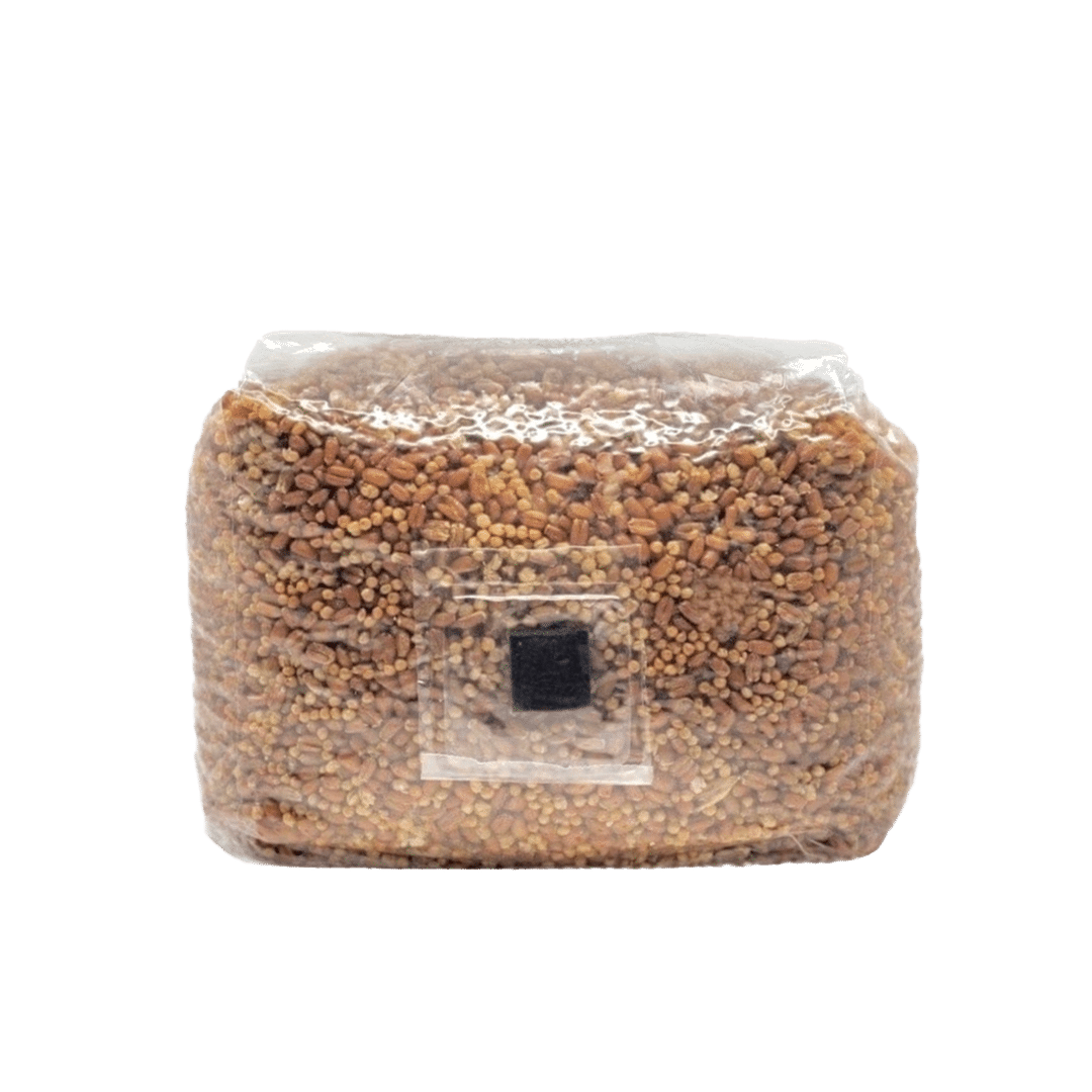 a square bag with an injection port containing North Spore sterilized grain for mushrooms.