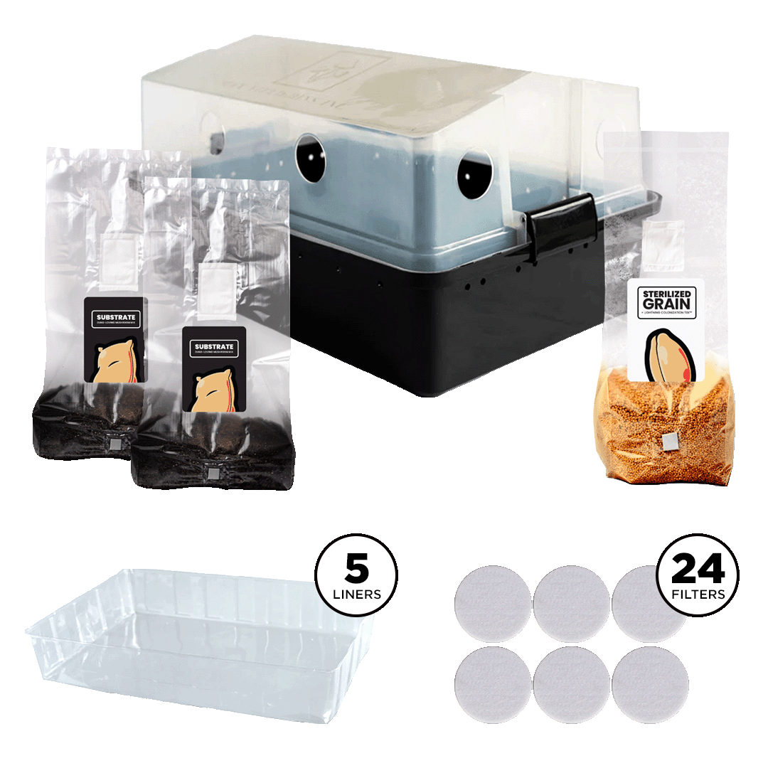 a Kit with one V2 Max Yield Bin, on set of 24 Bin Filters, one set of 5 Bin Liners, 2 five pound bags of Mushroom Supplies Sterilized Substrate, one bag of MushroomSupplies Sterilized Grain