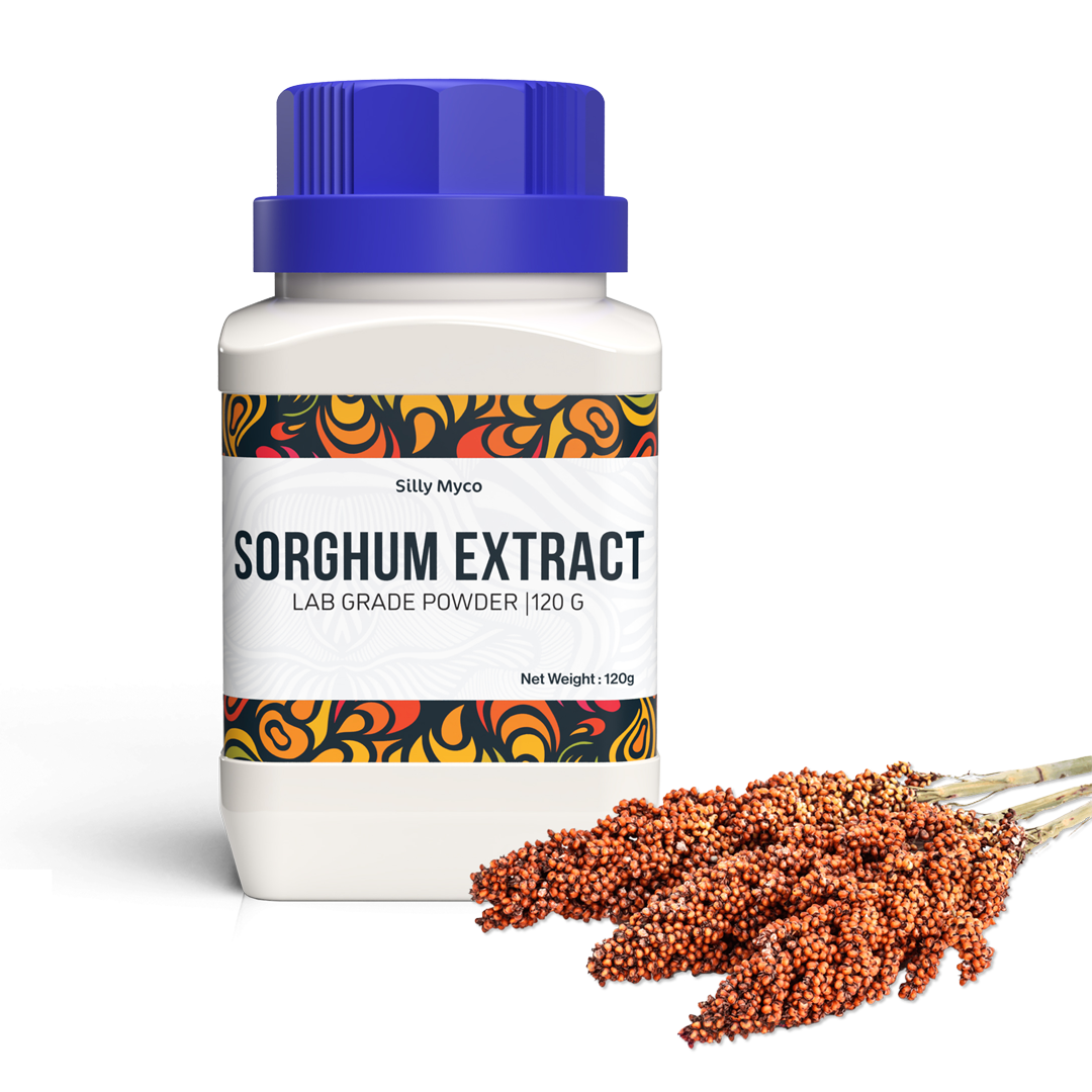 A white bottle of Silly Myco Sorghum Extract with a blue lid beside a sprig of red sorghum.