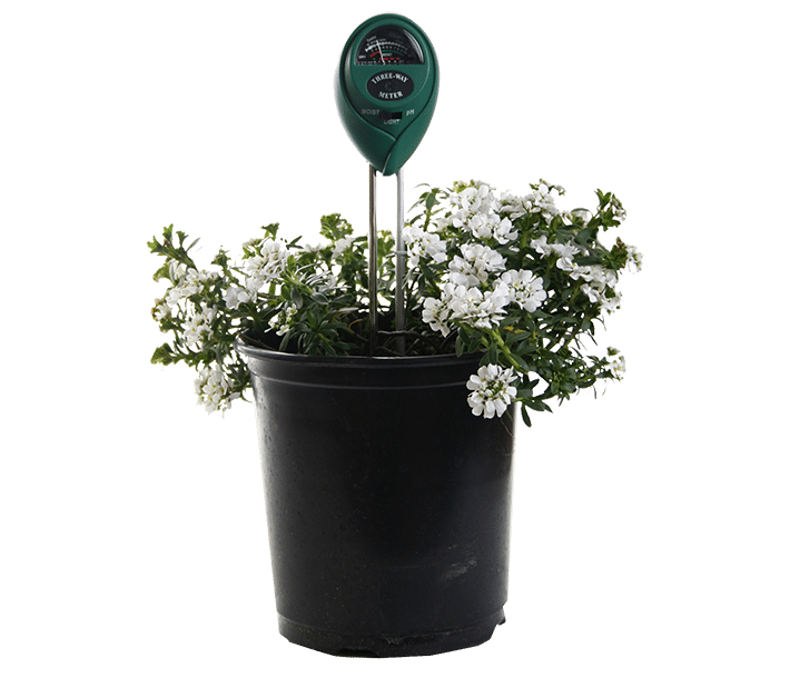 Active Air 3-way meter in use, measuring in a pot of white flowers, transparent background