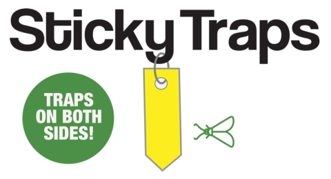 Sticky traps illustration Traps on Both Sides