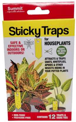 Sticky Traps package of 12 cards, non toxic houseplant pesticide